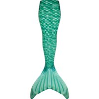 fin fun celtic green